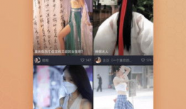 芝麻视频,探索短视频新潮流，解锁生活精彩瞬间