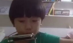 小正太视频,视频记录纯真童年瞬间