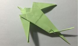 折纸视频,跟随视频教程，轻松掌握折纸技巧