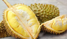 榴莲姐,揭秘网红背后的传奇人生