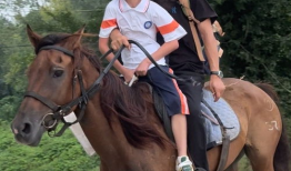 骑马视频,骑马视频中的速度与激情