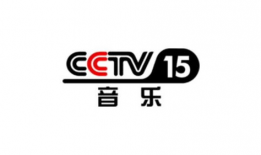 cctv央视频道,解码中国电视新闻的权威之声