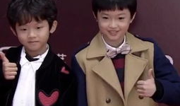 小正太视频,视频记录纯真童年瞬间