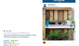 草草爱视频,揭秘现代都市情感生活的真实面貌