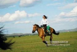 骑马视频,骑马视频中的速度与激情