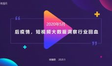 网络视频,XX现象背后的真相与启示