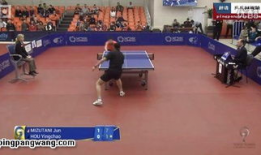 乒乓球比赛视频,激情对决，技艺巅峰对决