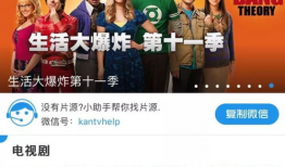 华人视频,展现多元文化魅力，传递情感共鸣